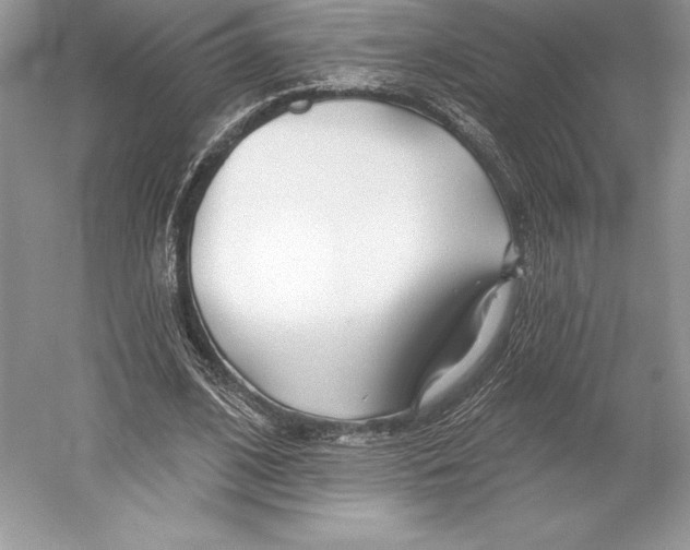 X0000052960584200508050950