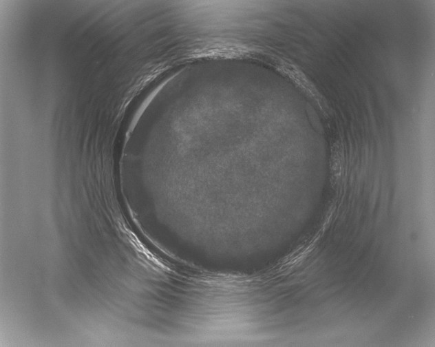 X0000052960585200508050950