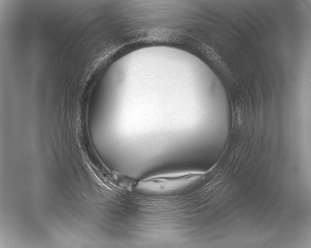 X0000052960588200508050950