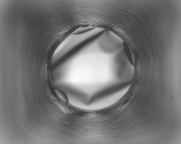 X0000052960589200508050950
