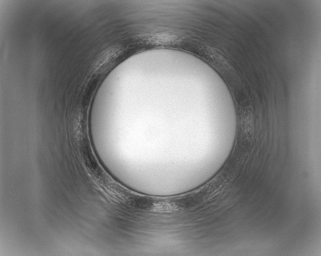 X0000052960591200508050950