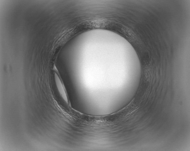 X0000052960594200508050950