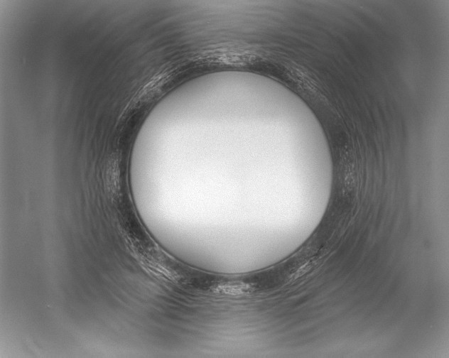 X0000052960595200508050950