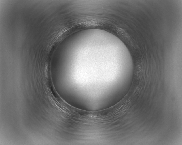 X0000052960596200508050950