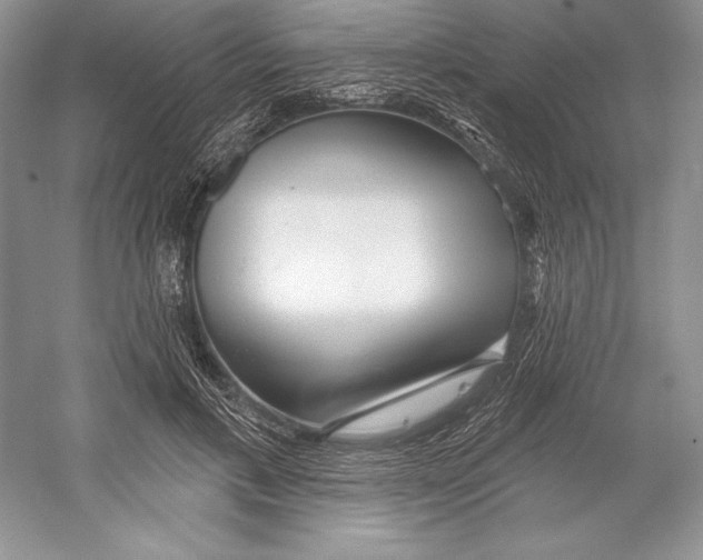X0000052960597200508050950