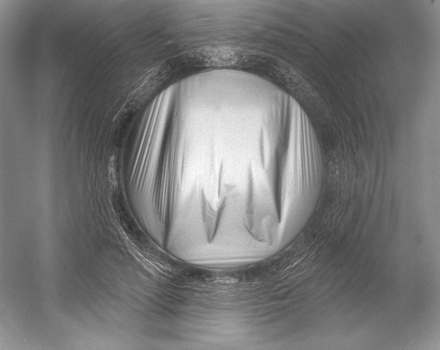 X0000052960598200508050950