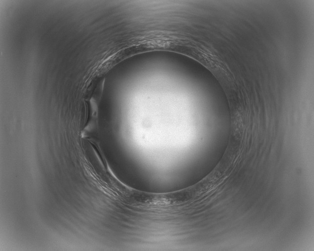 X0000052960600200508050950