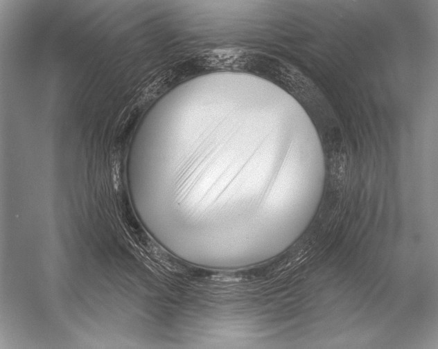X0000052960602200508050950