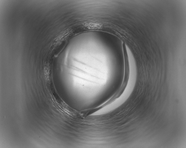 X0000052960604200508050950
