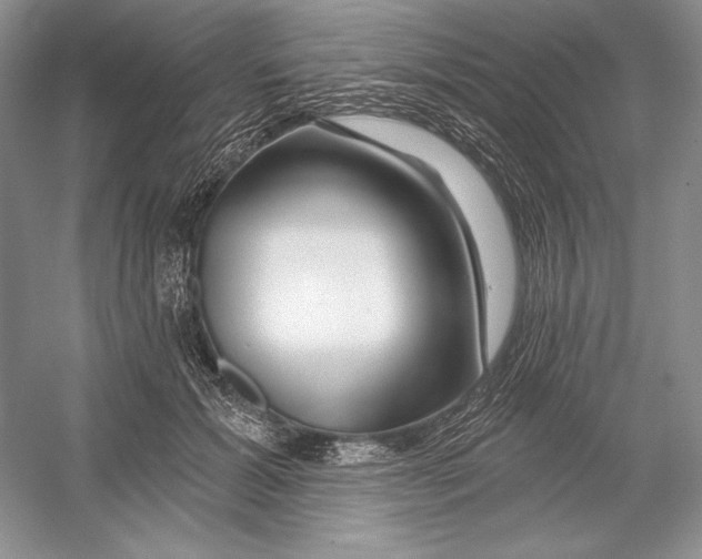 X0000052960605200508050950