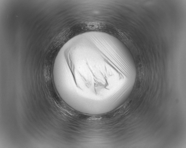 X0000052960606200508050950