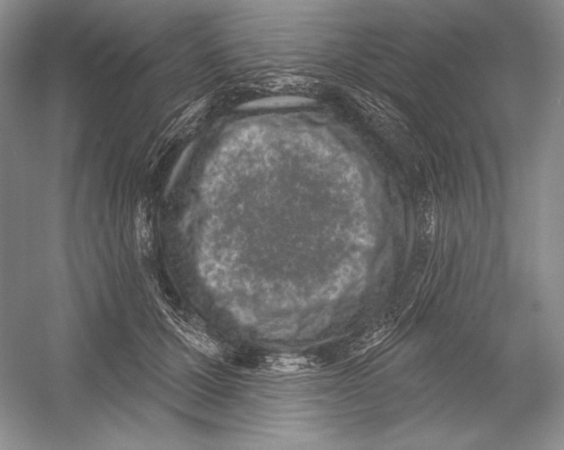X0000052960607200508050950