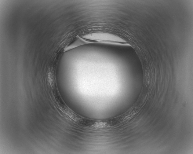 X0000052960609200508050950