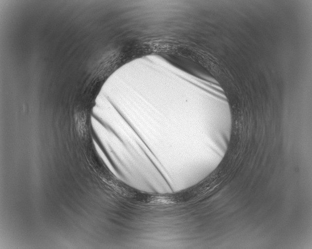 X0000052960610200508050950