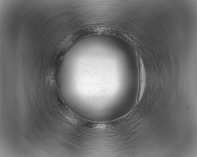 X0000052960611200508050950