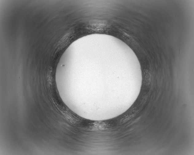 X0000052960612200508050950