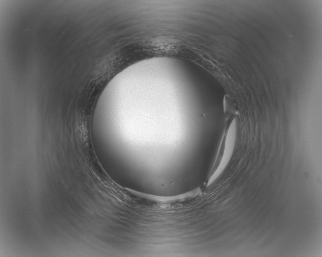 X0000052960613200508050950