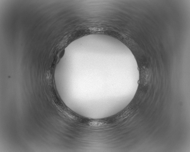 X0000052960614200508050950