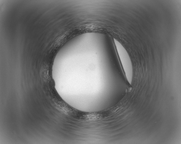 X0000052960615200508050950