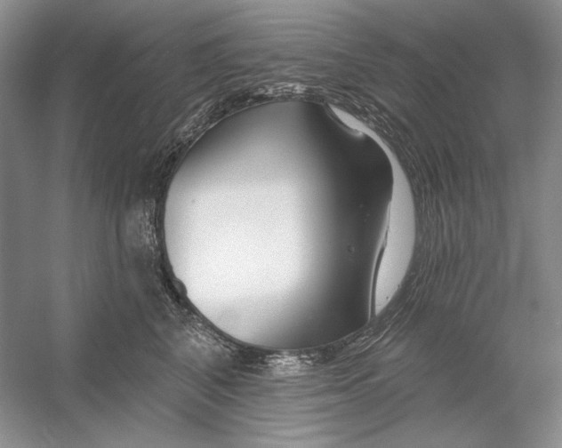 X0000052960616200508050950