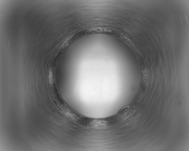 X0000052960617200508050950