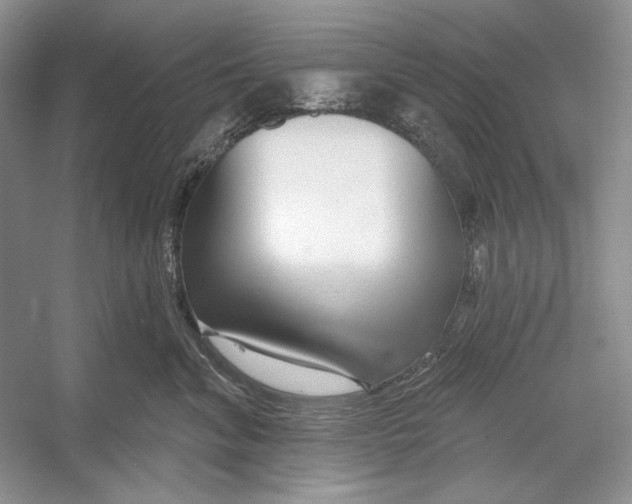X0000052960620200508050950