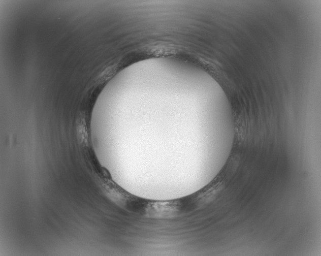 X0000052960622200508050950