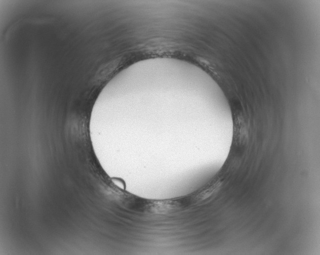 X0000052960623200508050950