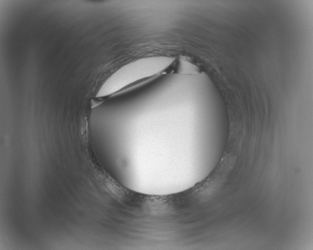 X0000052960624200508050950