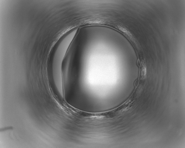 X0000052960626200508050949