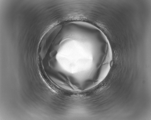 X0000052960630200508050949