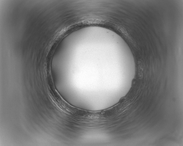 X0000052960631200508050949