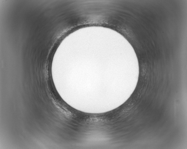 X0000052960632200508050949