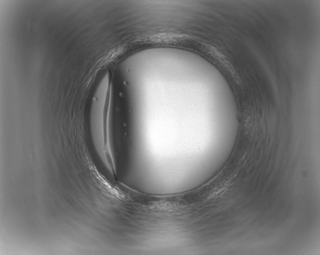 X0000052960633200508050949