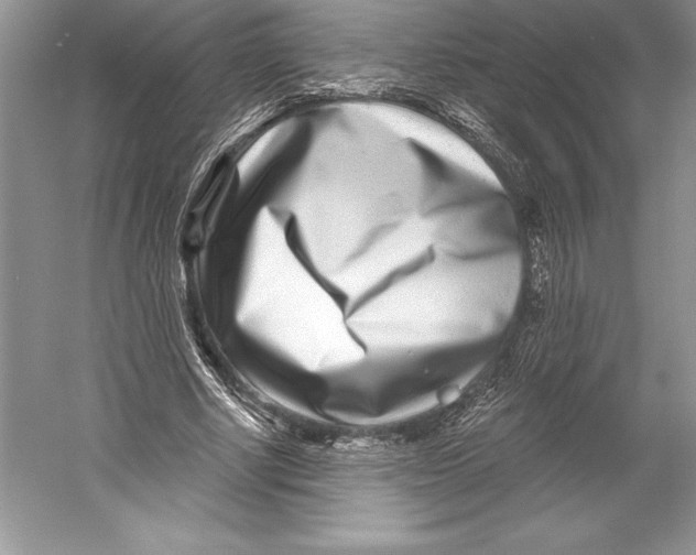 X0000052960634200508050949