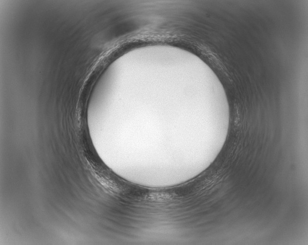 X0000052960636200508050949