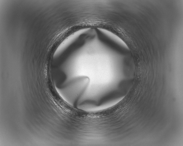 X0000052960640200508050949