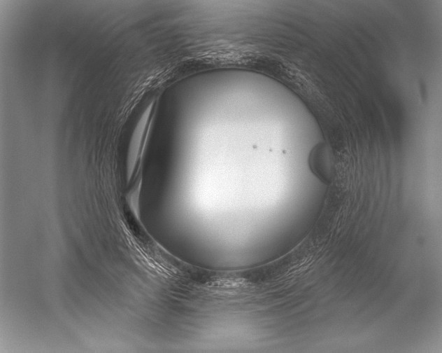 X0000052960642200508050949