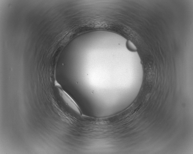 X0000052960643200508050949