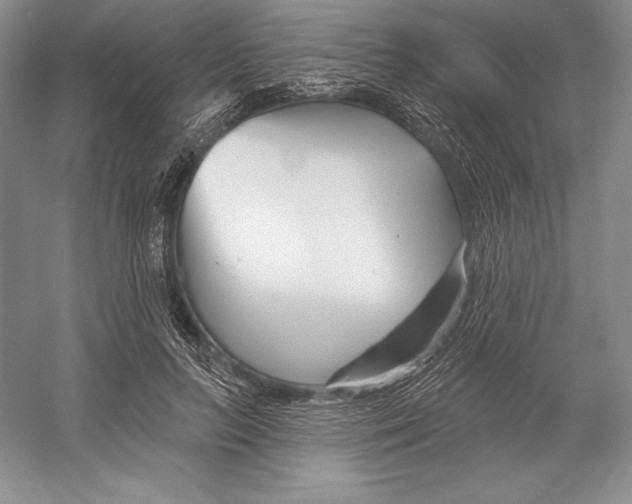 X0000052960647200508050949