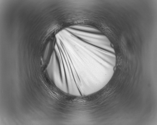 X0000052960648200508050949