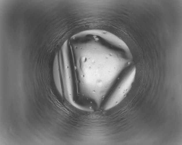 X0000052960650200508050949