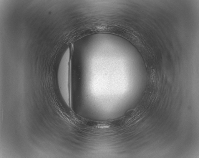 X0000052960651200508050949