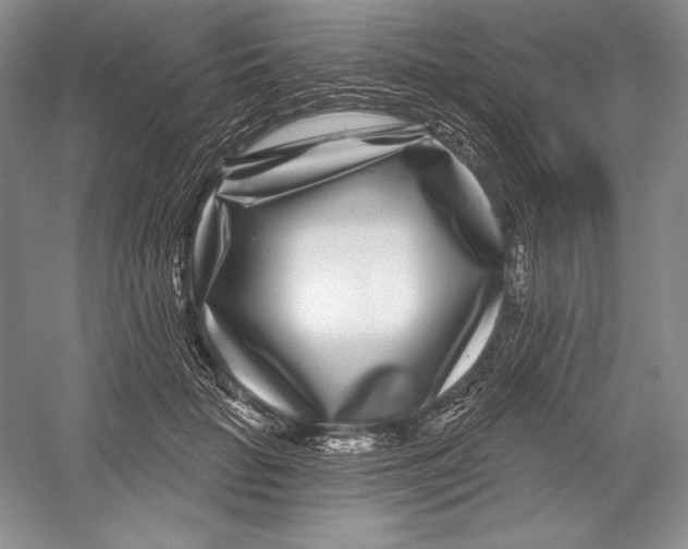 X0000052960653200508050949