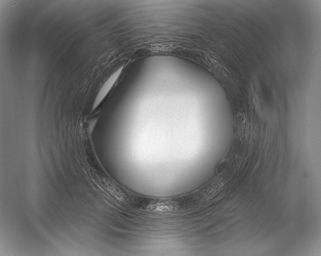 X0000052960655200508050949
