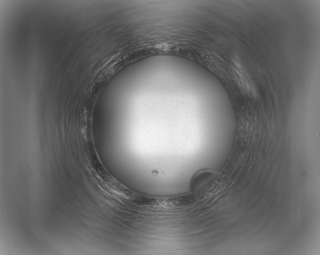 X0000052960656200508050949
