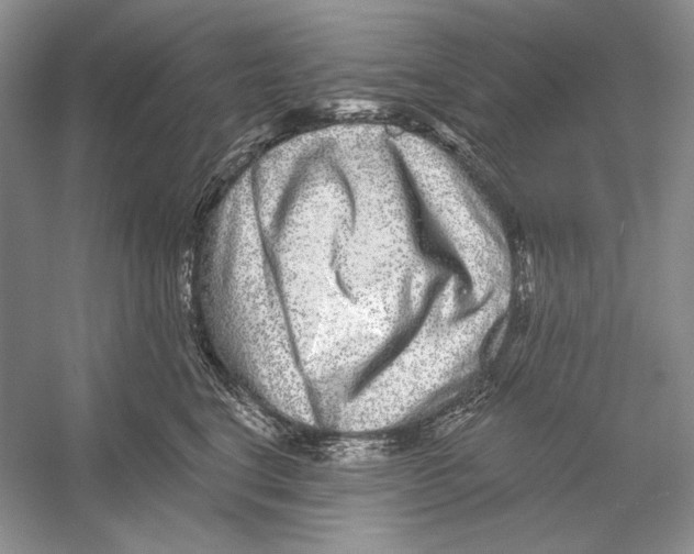 X0000052960664200508050950