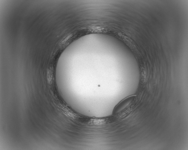 X0000052960665200508050950