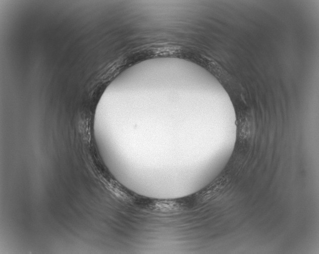 X0000052960666200508050950