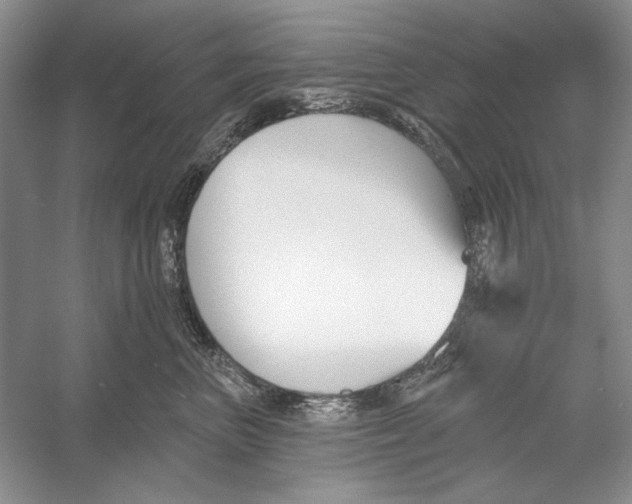 X0000052960667200508050950
